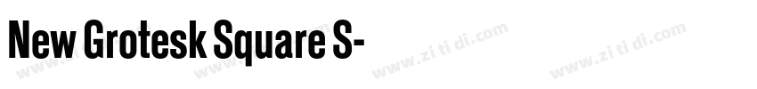 New Grotesk Square S字体转换 New Grotesk Square S字体转换